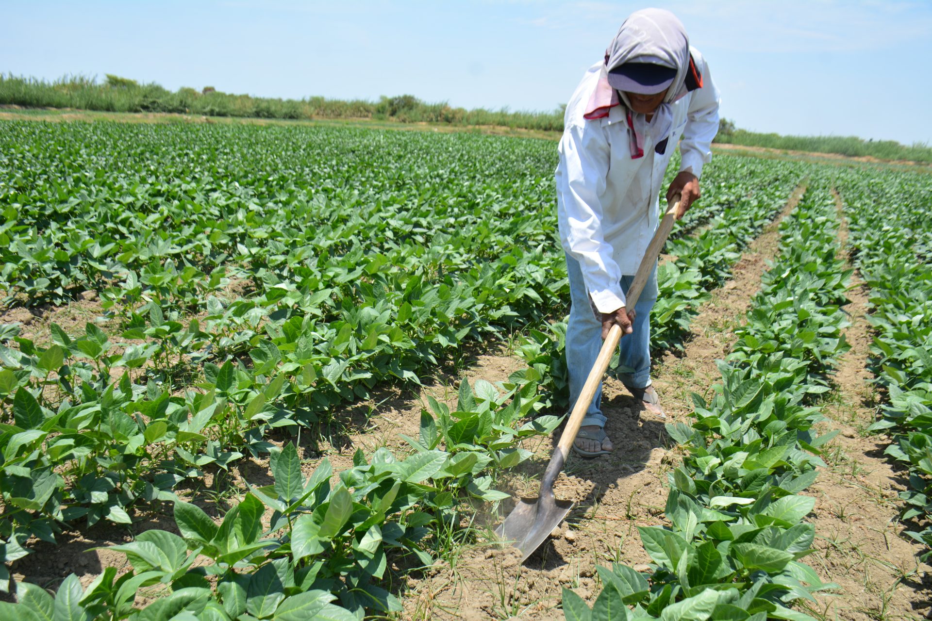 Carrusel de fotos de la carrera